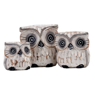Family of three cartoon owls with etched feathers