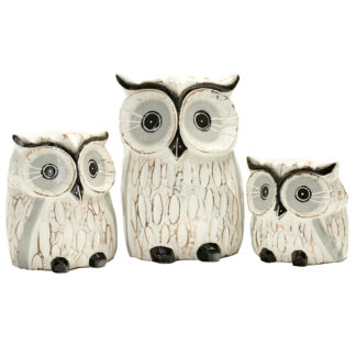 Family of three cartoon owls with etched feathers