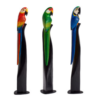 Painted parrot (1mtr)