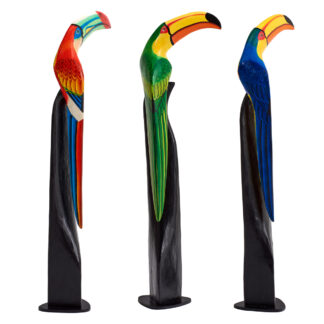 Painted toucan (1mt)