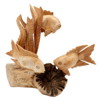 Two angelfish in coral on parasite base