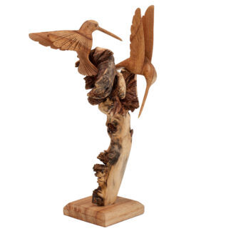 Double hummingbird on parasite tree on stand