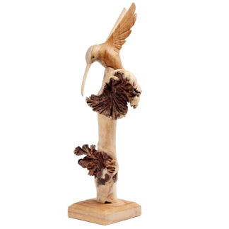 Hummingbird on parasite tree on stand