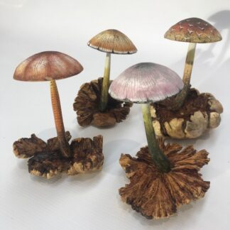 Painted parasite mushrooms - assorted