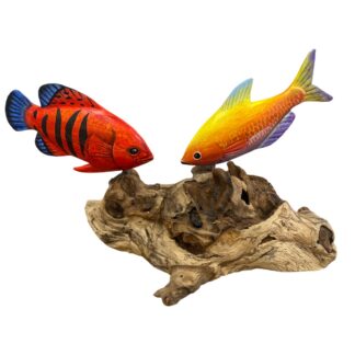 Two tropical fish on root