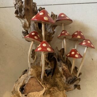 Red painted mushrooms on root wall art