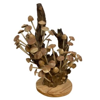 Fifty mushrooms on root