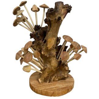 Twenty seven mushrooms on root