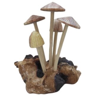 Five mushroom on root