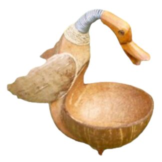 Duck bird feeder