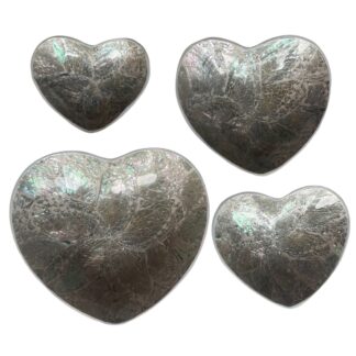 Set of 4 heart shape shell bowls
