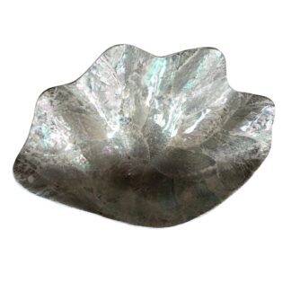 Shell leaf shape bowl