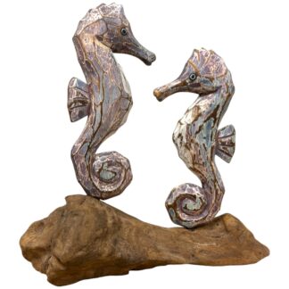 Double painted seahorses on root