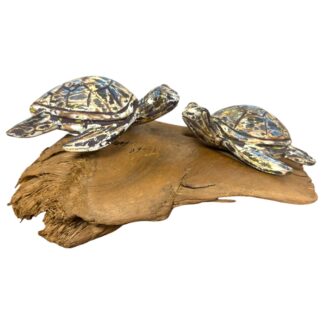 Double painted turtles on root