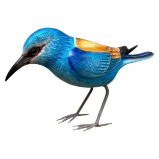 European roller bird