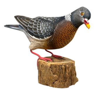 Wood pigeon